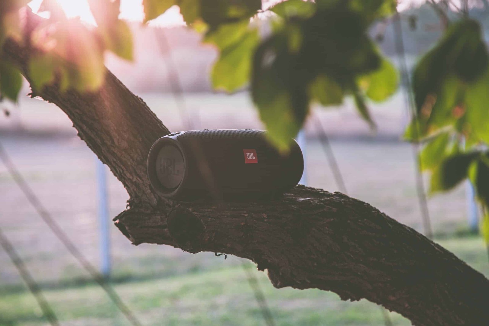 Enceinte Portable Bluetooth JBL Charge 3 posee sur une branche d'arbre